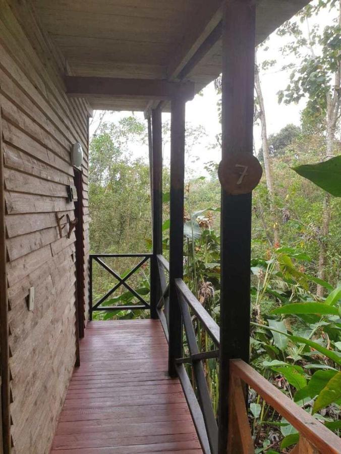 El Dorado Nature Reserve Villa Minca Exteriör bild